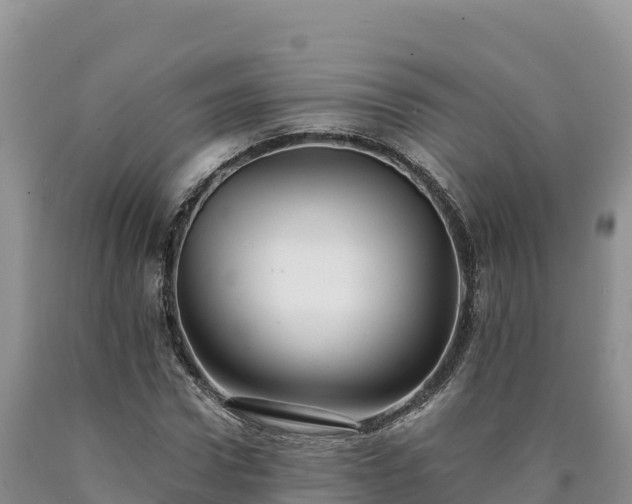 X0000090630922200707241149