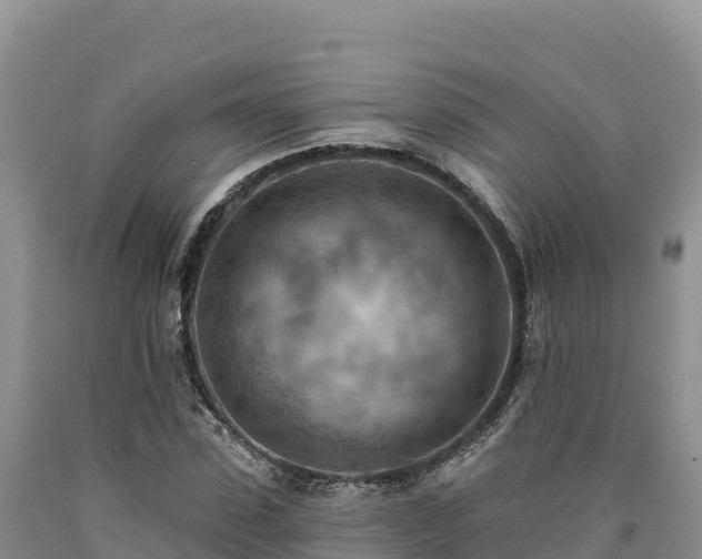 X0000090630923200707241149