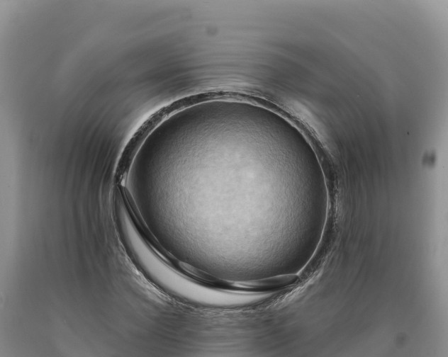 X0000090630924200707241149