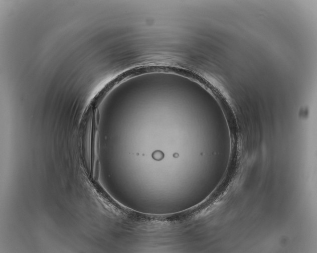 X0000090630925200707241149