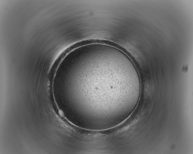 X0000090630926200707241149