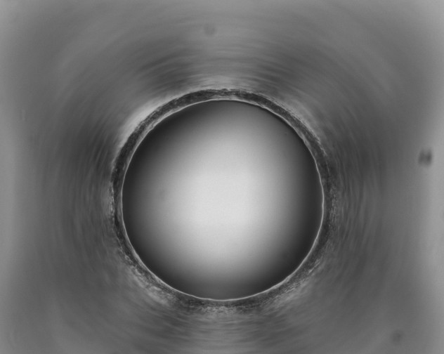 X0000090630927200707241149