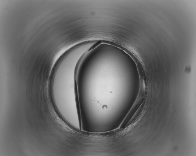 X0000090630928200707241149