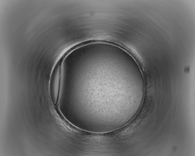 X0000090630932200707241149