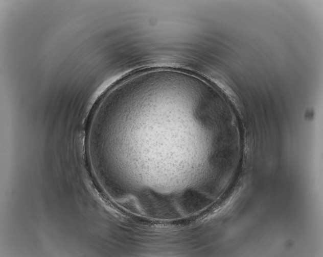 X0000090630933200707241149