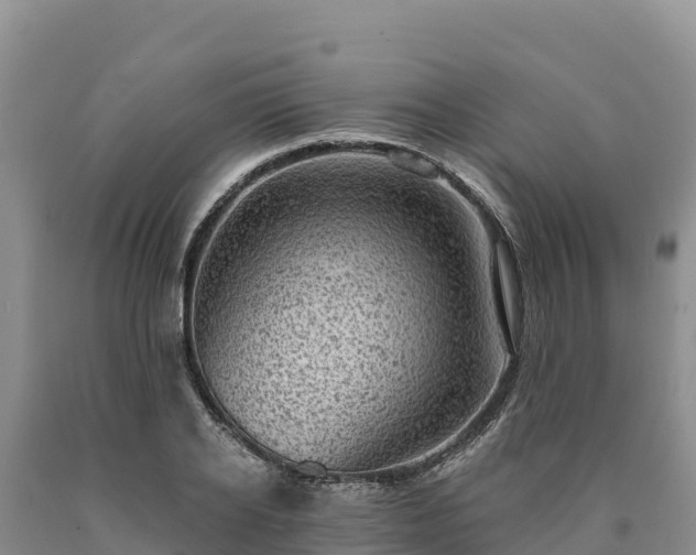 X0000090630934200707241149