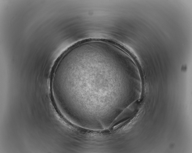X0000090630935200707241149