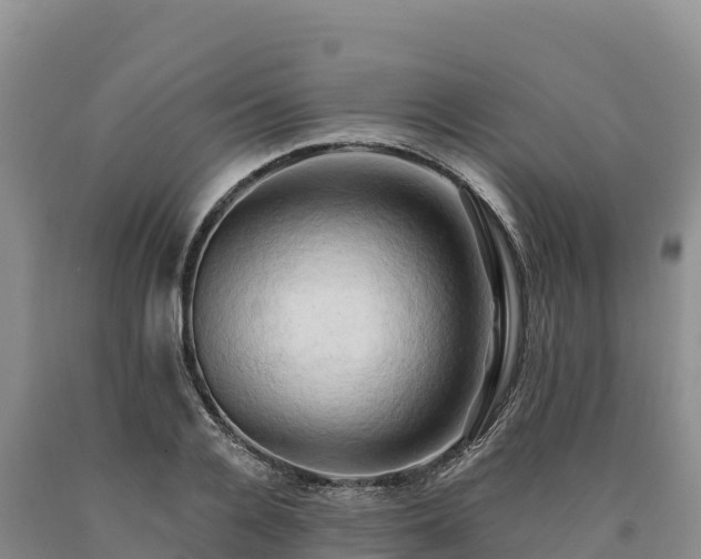 X0000090630936200707241149