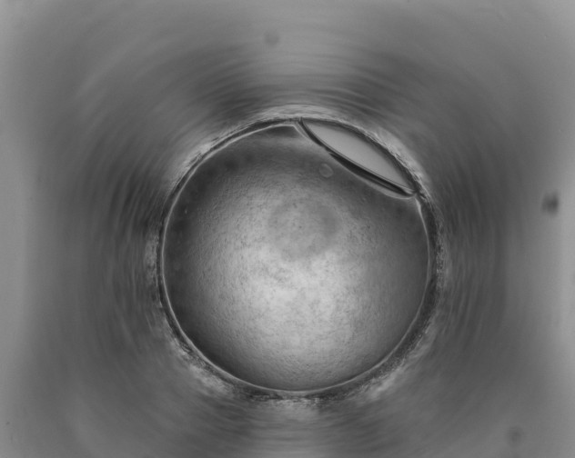 X0000090630937200707241149
