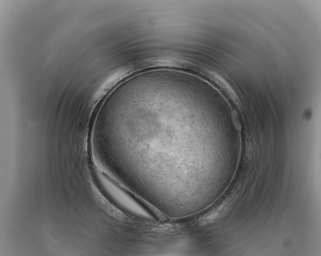 X0000090630938200707241149