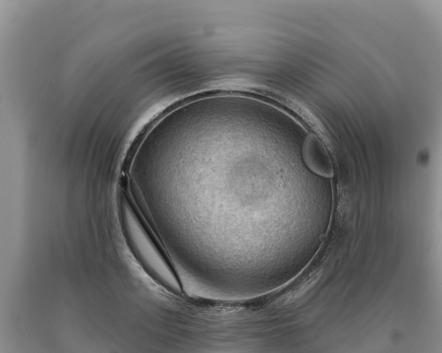 X0000090630939200707241149