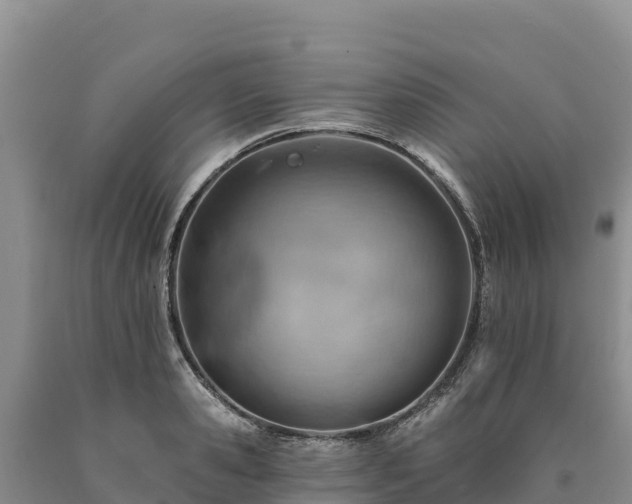 X0000090630941200707241149