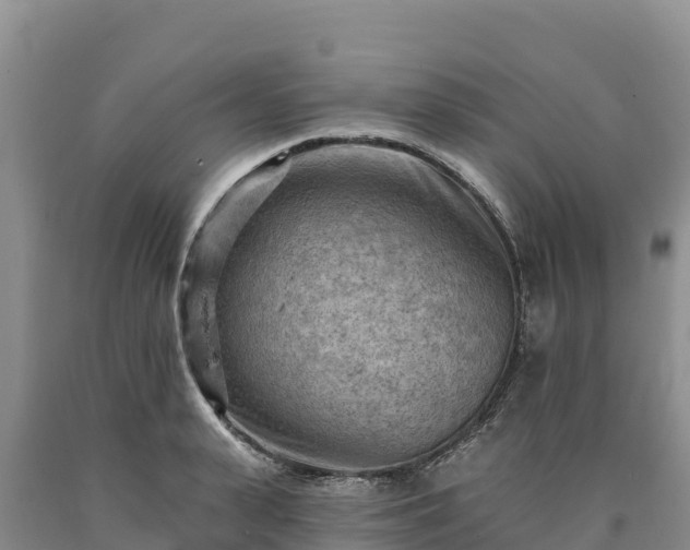 X0000090630943200707241149