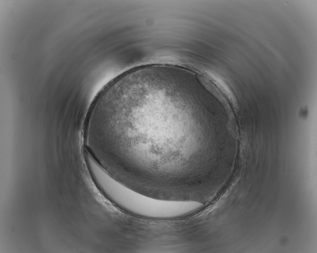 X0000090630944200707241149