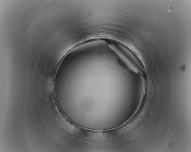 X0000090630945200707241149
