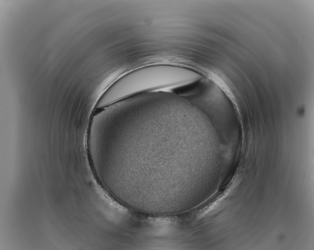 X0000090630946200707241149