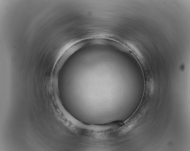 X0000090630948200707241149