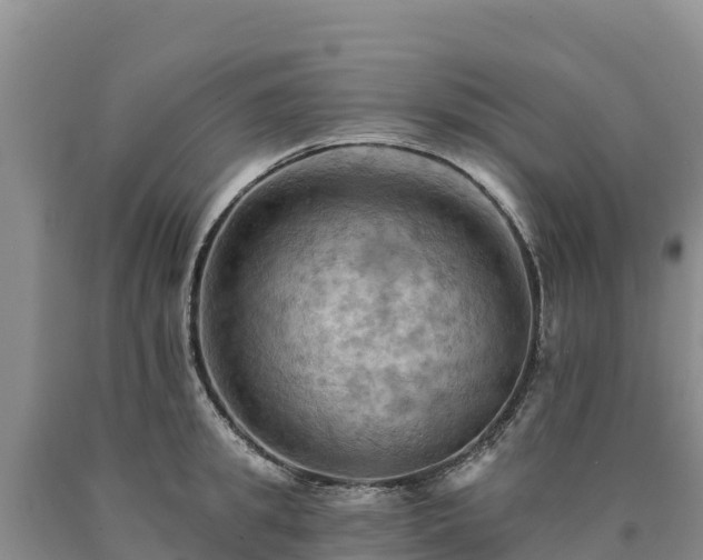 X0000090630949200707241149