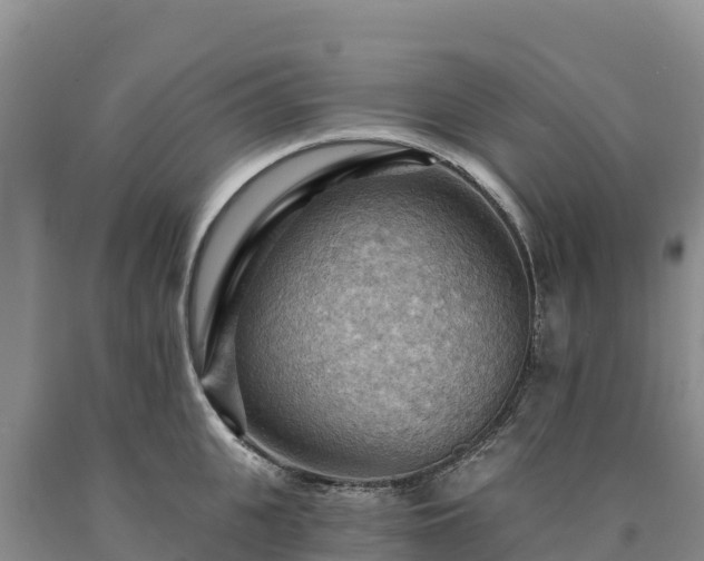 X0000090630951200707241149