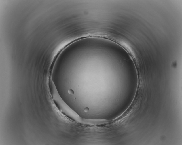 X0000090630952200707241149