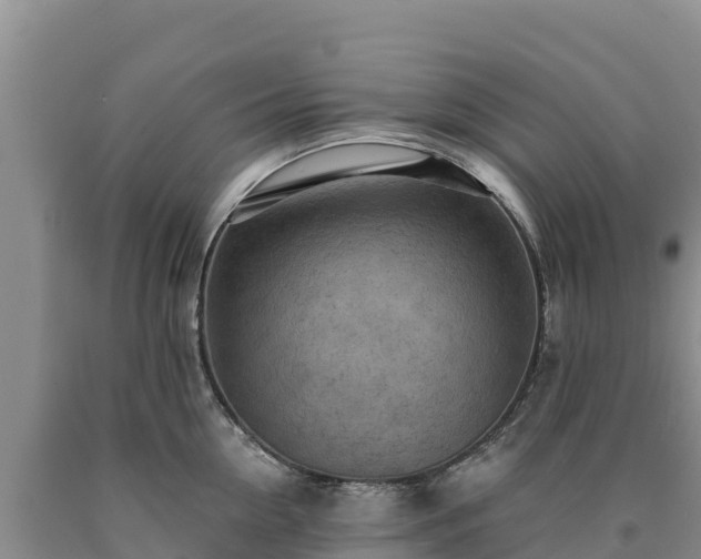 X0000090630954200707241149