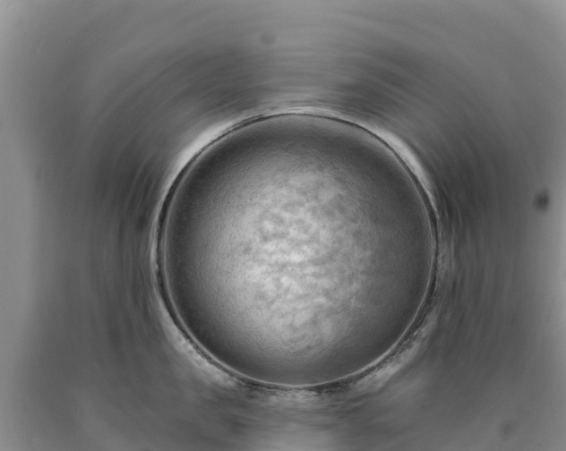 X0000090630957200707241149