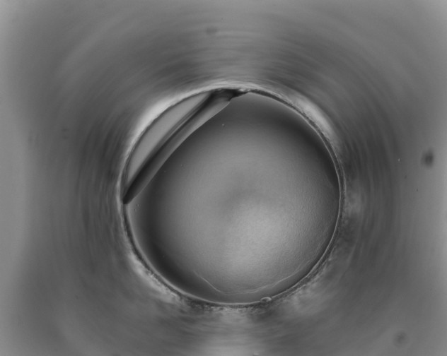 X0000090630958200707241149