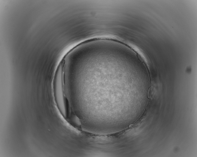X0000090630959200707241149