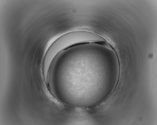 X0000090630960200707241149