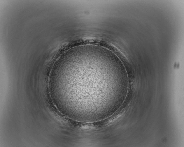 X0000090630961200707241149