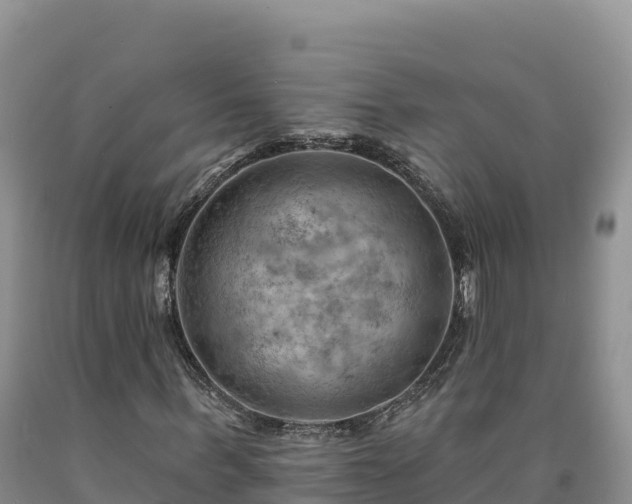 X0000090630963200707241149