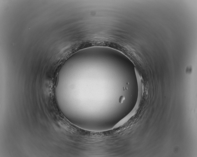 X0000090630964200707241149