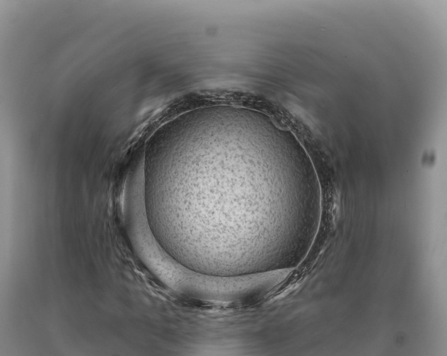 X0000090630965200707241149