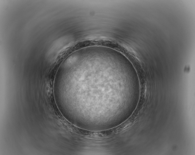 X0000090630966200707241149