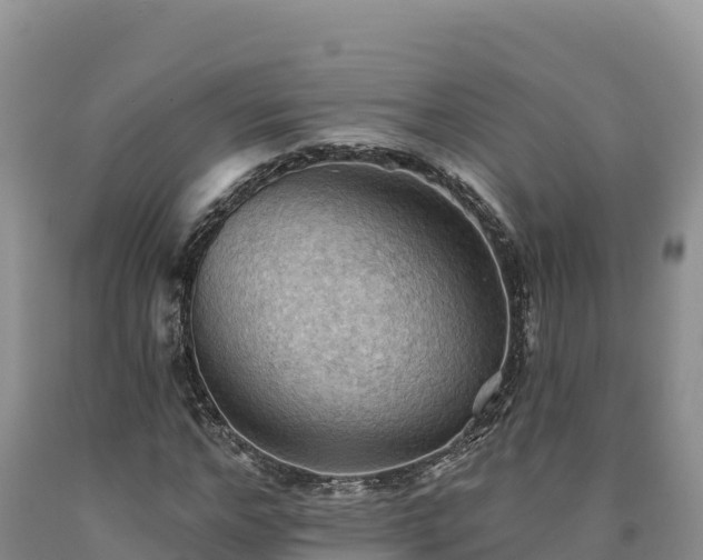 X0000090630968200707241149