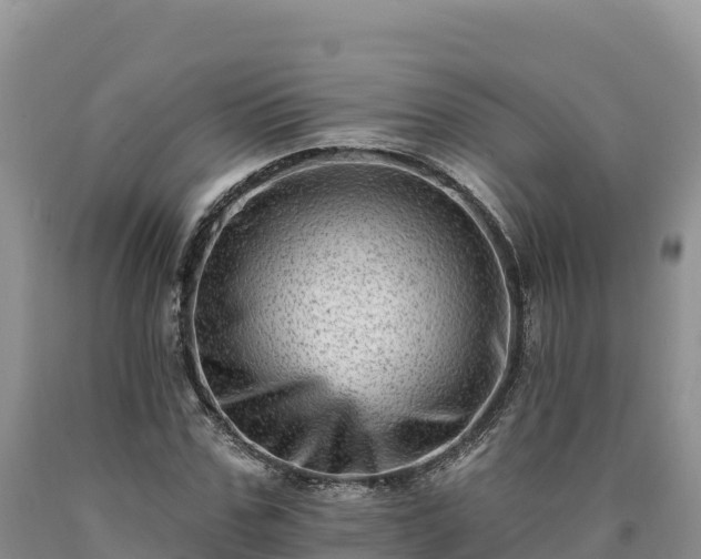 X0000090630971200707241149