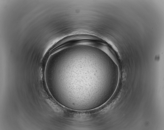 X0000090630973200707241149