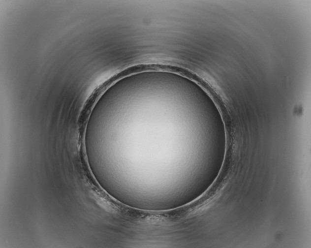 X0000090630974200707241149