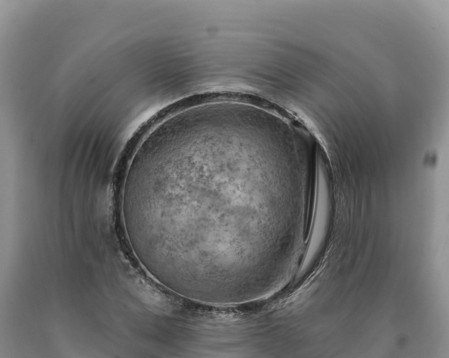 X0000090630975200707241149