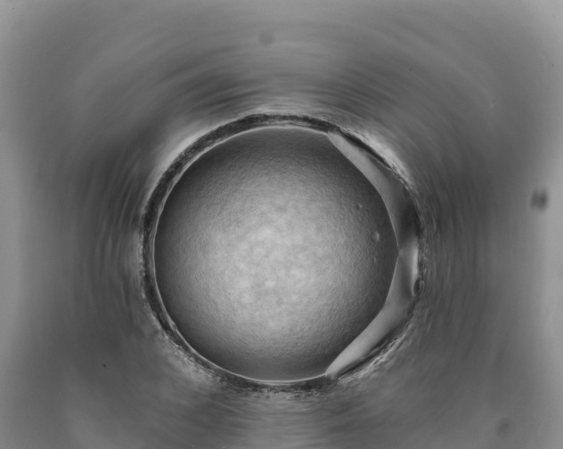 X0000090630976200707241149