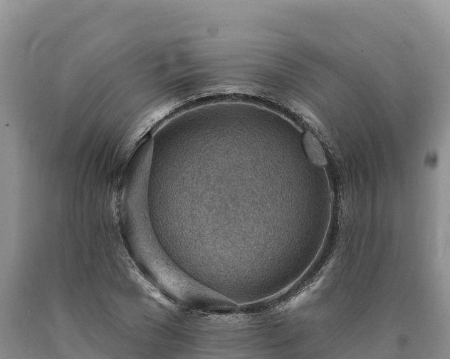 X0000090630977200707241149