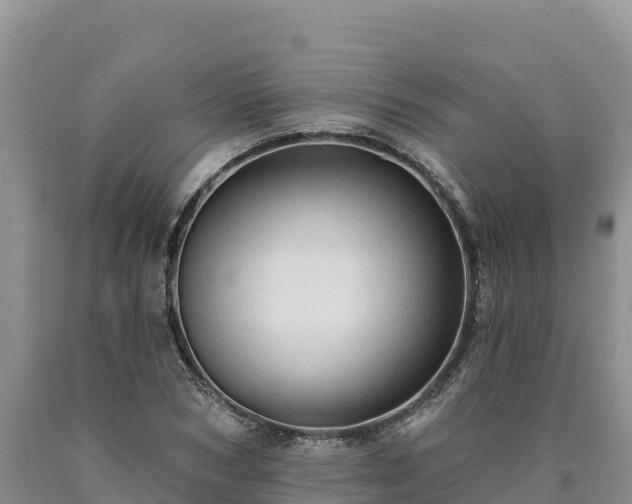 X0000090630978200707241149