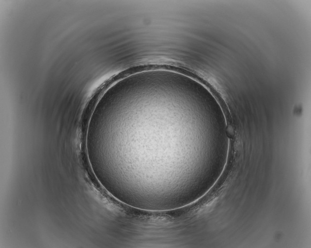X0000090630979200707241149