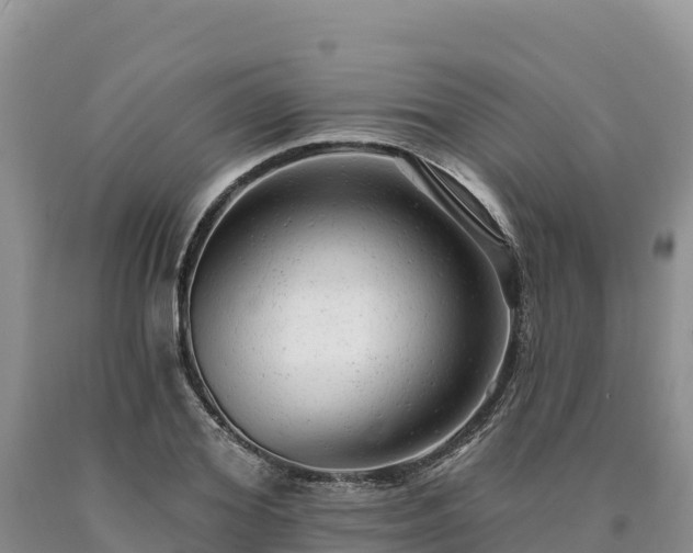X0000090630980200707241149