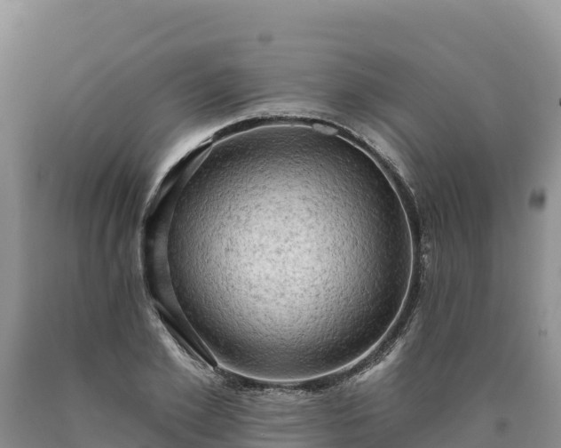 X0000090630981200707241149