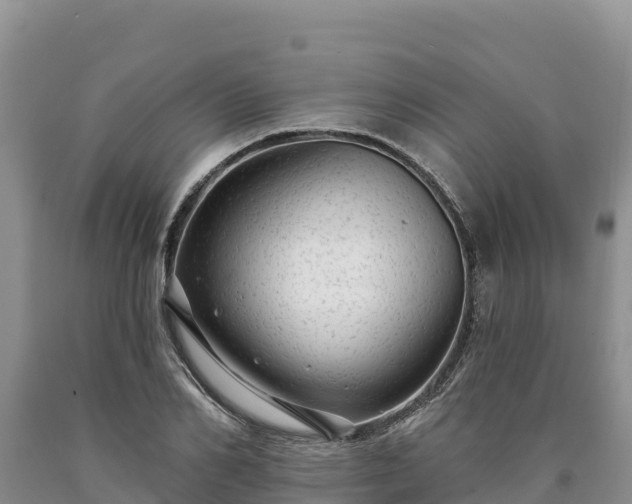 X0000090630982200707241149
