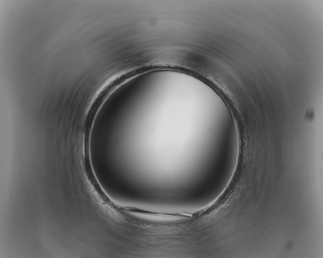 X0000090630984200707241149