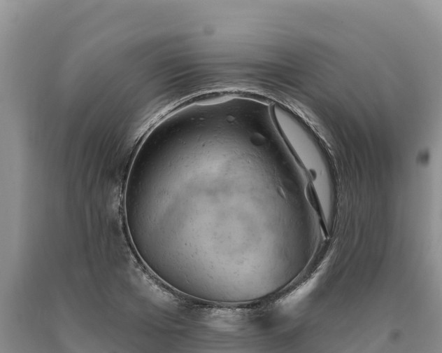 X0000090630985200707241148