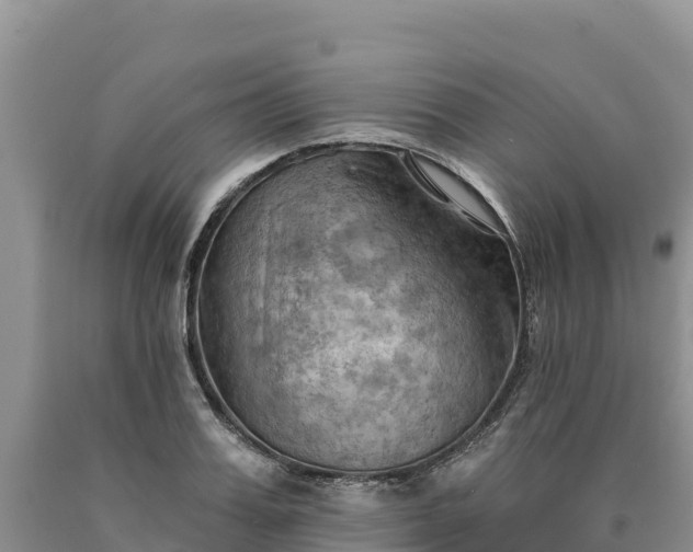 X0000090630987200707241148
