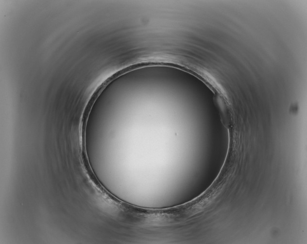 X0000090630988200707241148